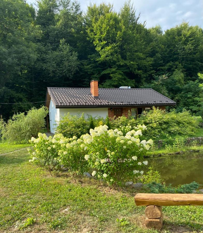 Holiday Home Usadba Novoselitsa Exterior photo