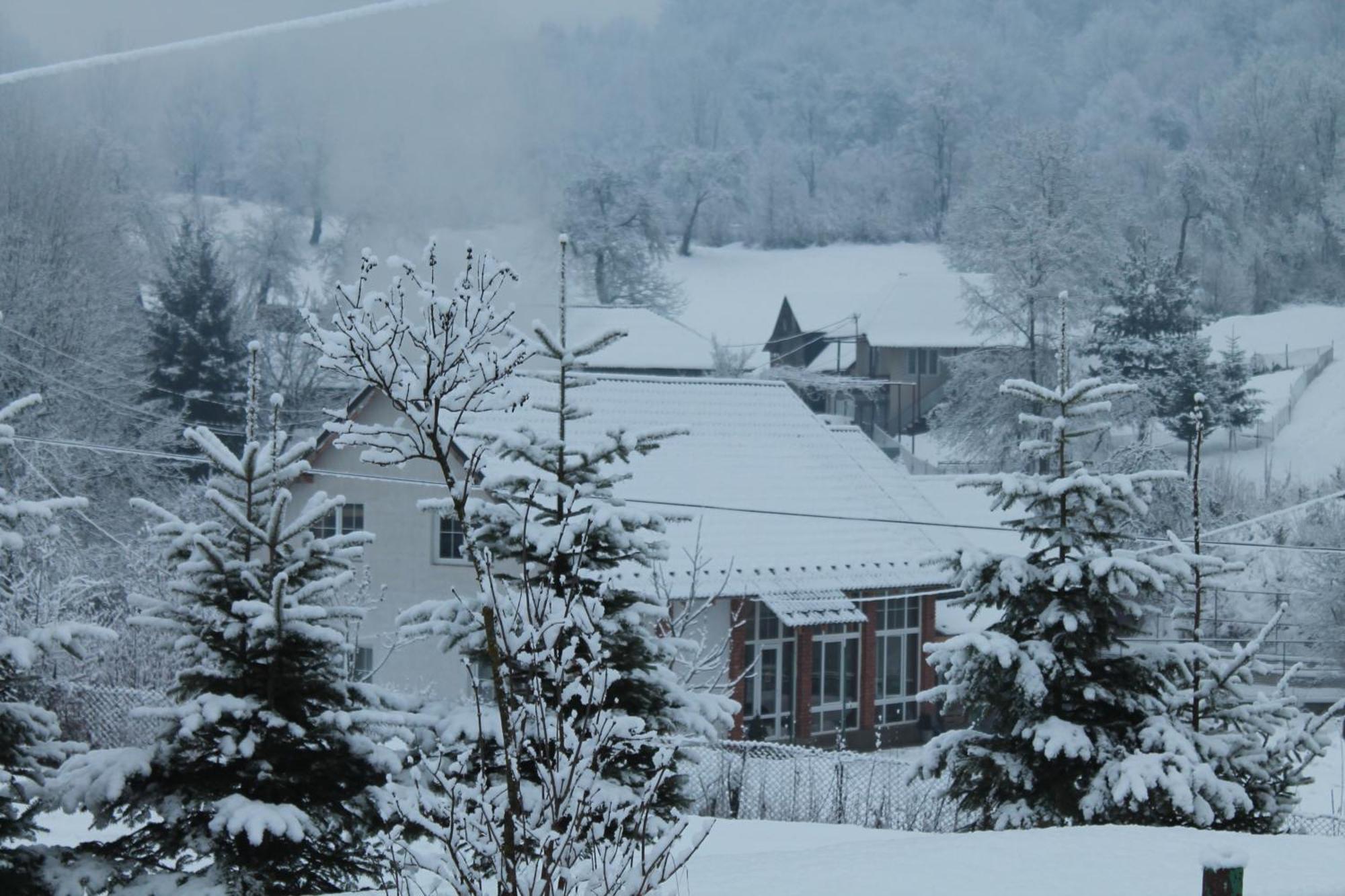 Holiday Home Usadba Novoselitsa Exterior photo