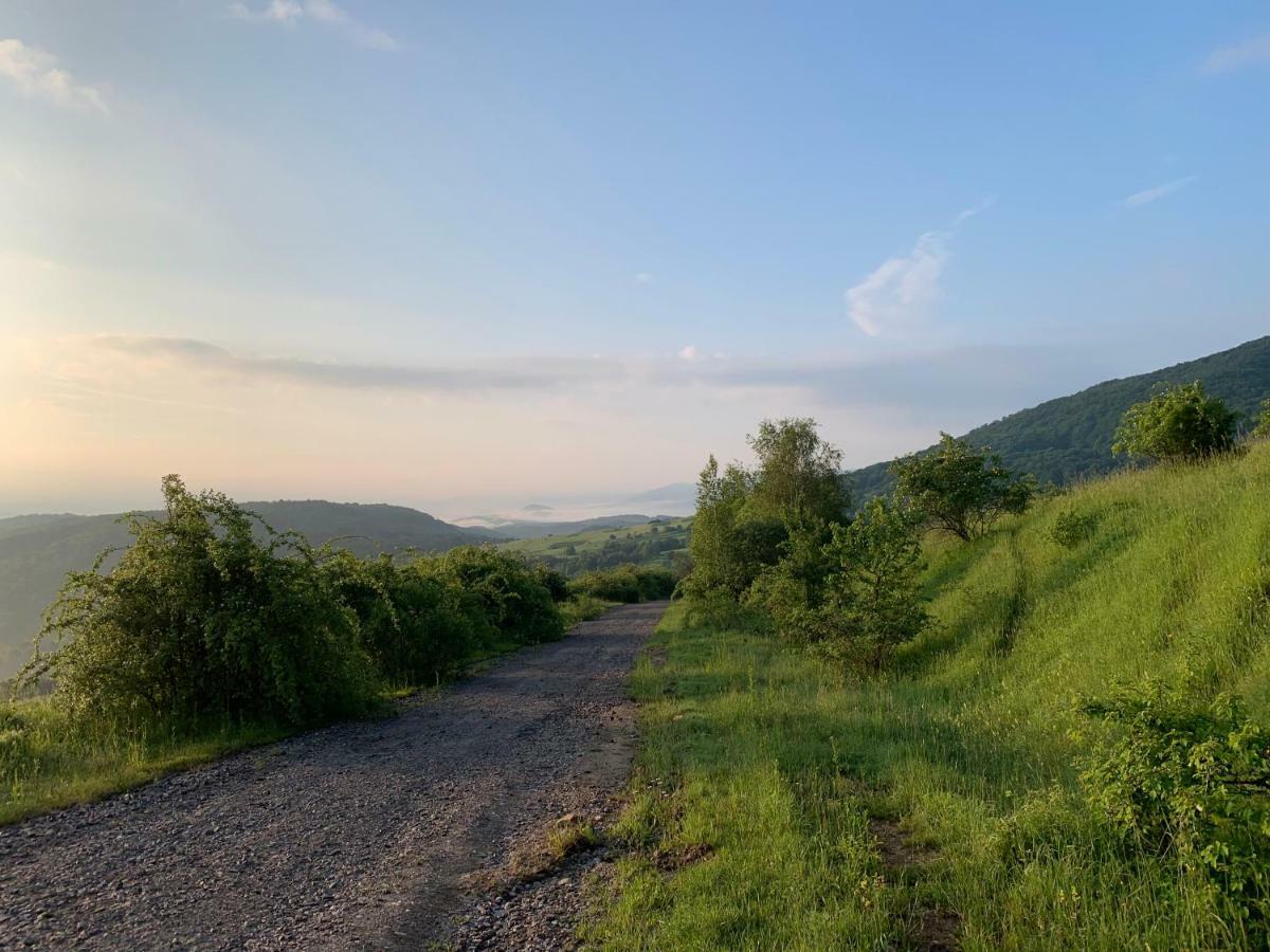 Holiday Home Usadba Novoselitsa Exterior photo